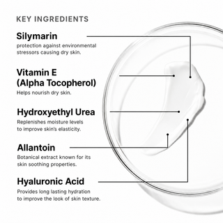 Antioxidant Lip Repair